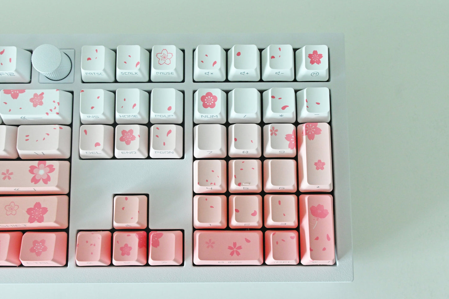 Backlit Soft Pink Cherry Blossom Keycap Set